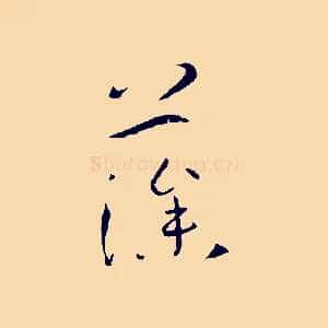 藻
