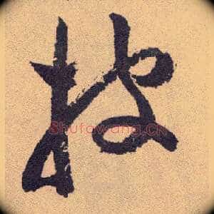 披