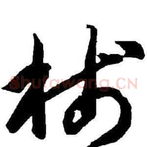 笺