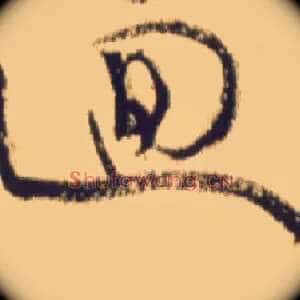 回