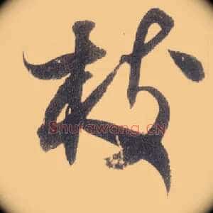 枝