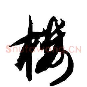 楼