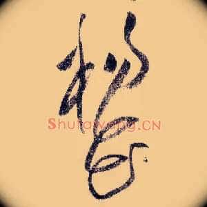 杨花