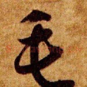 毛