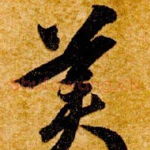 美