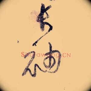 长袖