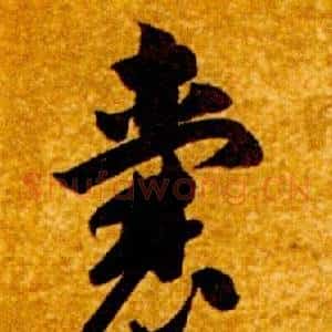 囊