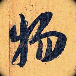 物