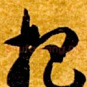 杷