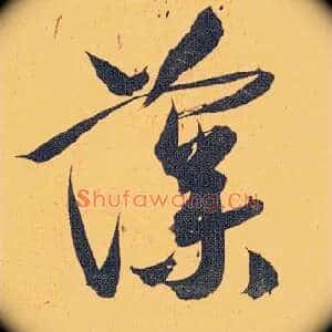 藻