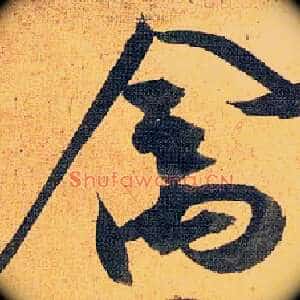 禽