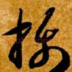 攝