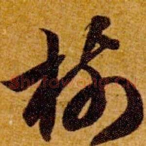樹