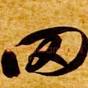 罔