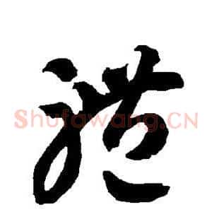 体