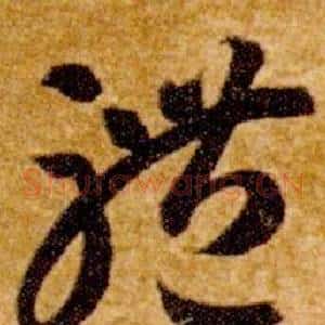 體