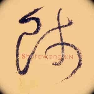 师