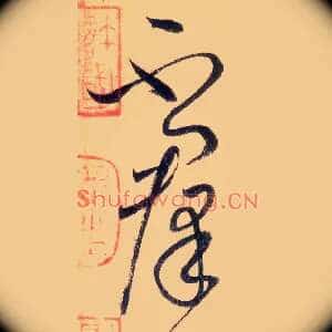 不群