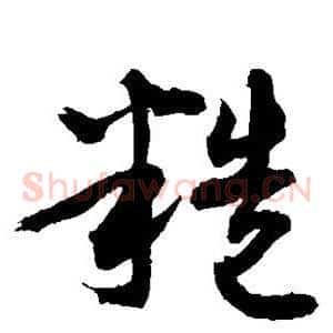 糙