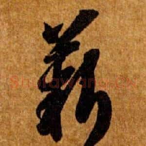 薪