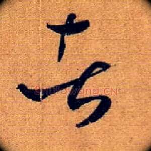 者