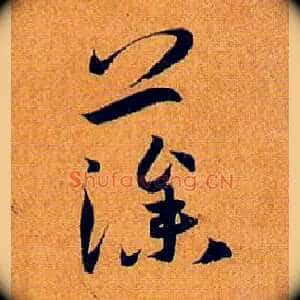 藻