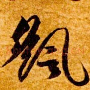 颻