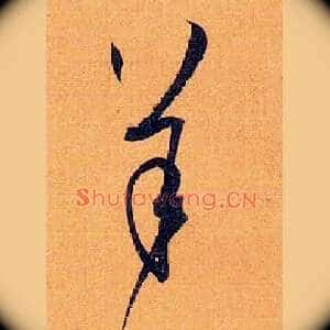 羊