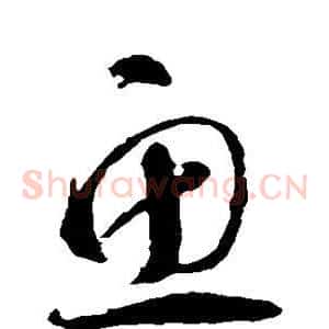 鱼