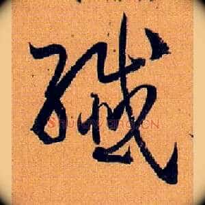 纤