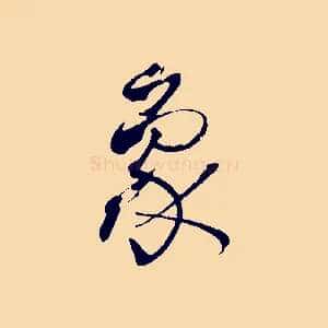 象