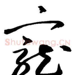 宠