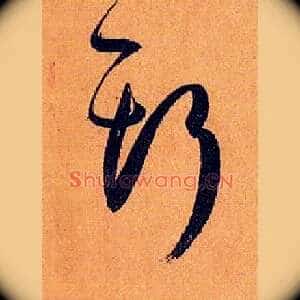 斯