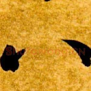 八