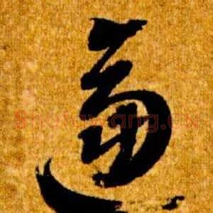 逼