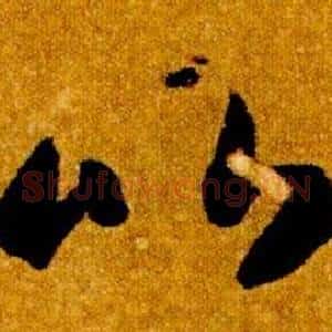 比