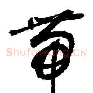 帶