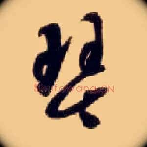琴