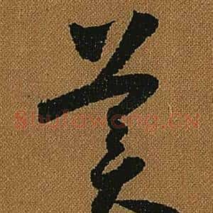 美