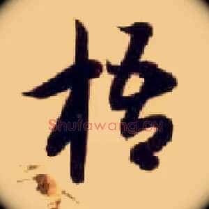 梧