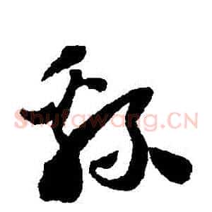 綿