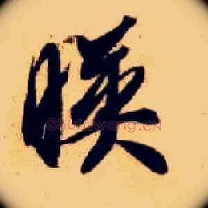 映