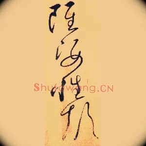 虽姿性颠