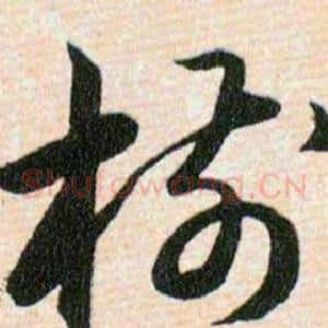 樹