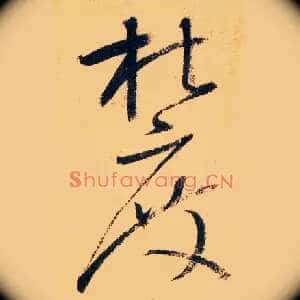杜度