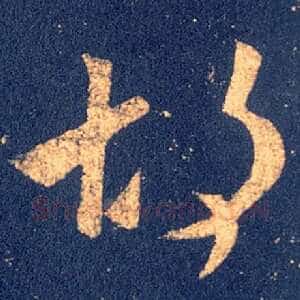 胡