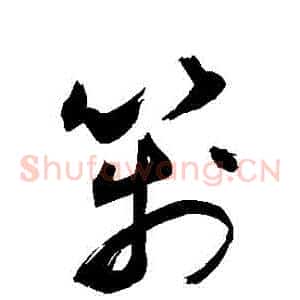 箋