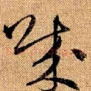 賊