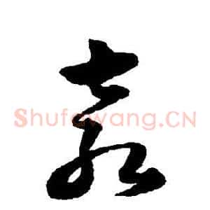 袁
