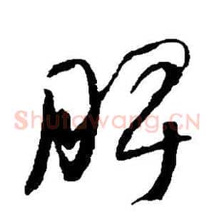 脾